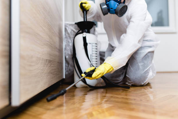 Best Best Pest Control Companies  in Salem, AR