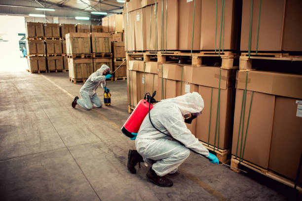 Best Bed Bug Extermination  in Salem, AR