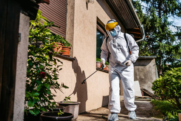 Best Mosquito Control Services  in Salem, AR