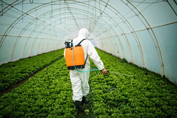 Best Residential Pest Control  in Salem, AR