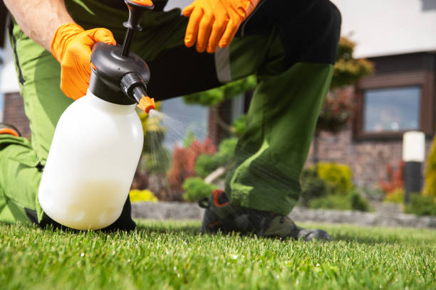 Best Commercial Pest Control Services  in Salem, AR