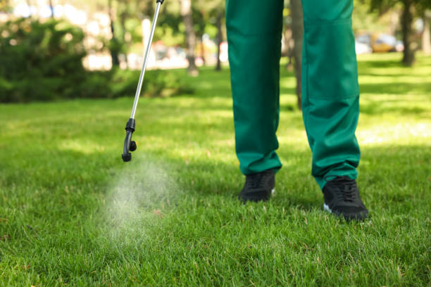 Best Pest Prevention Services  in Salem, AR