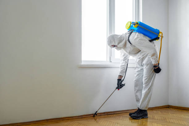 Best Affordable Pest Control Services  in Salem, AR