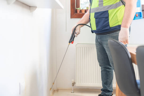 Professional Pest Control in Salem, AR