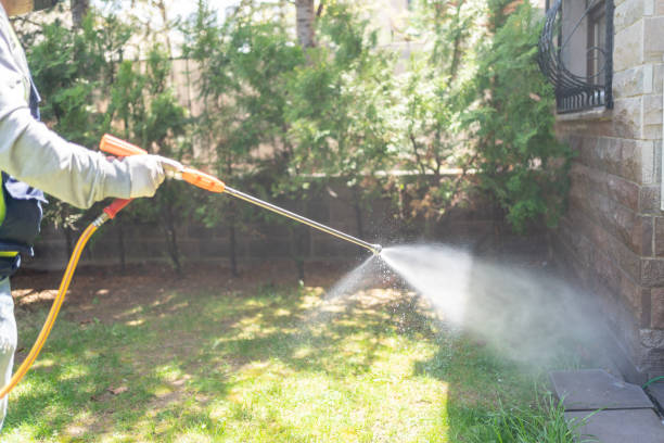 Best Wildlife Control Services  in Salem, AR