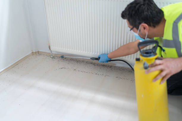 Best Residential Pest Control  in Salem, AR